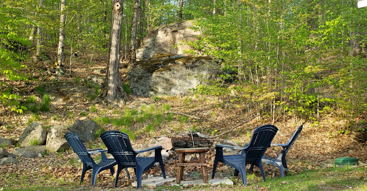 16366 Hwy 35 N/A, Algonquin Highlands, ON, K0M 2K0 - 11