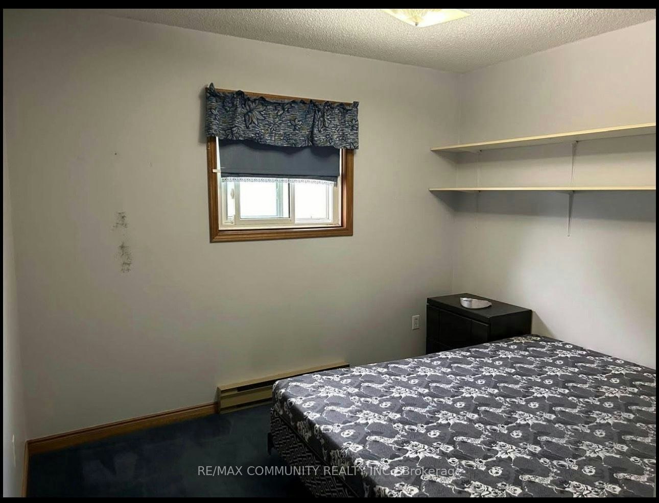 Main-174 Colborne Street, Kawartha Lakes, ON, K9V 6A1 - 14