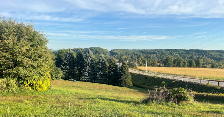 30 Mountainview Road, Mulmur, ON, L9V 3H5 - 41