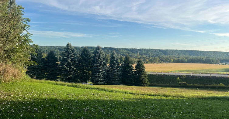 30 Mountainview Road, Mulmur, ON, L9V 3H5 - 44