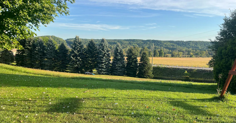 30 Mountainview Road, Mulmur, ON, L9V 3H5 - 49