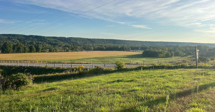 30 Mountainview Road, Mulmur, ON, L9V 3H5 - 42