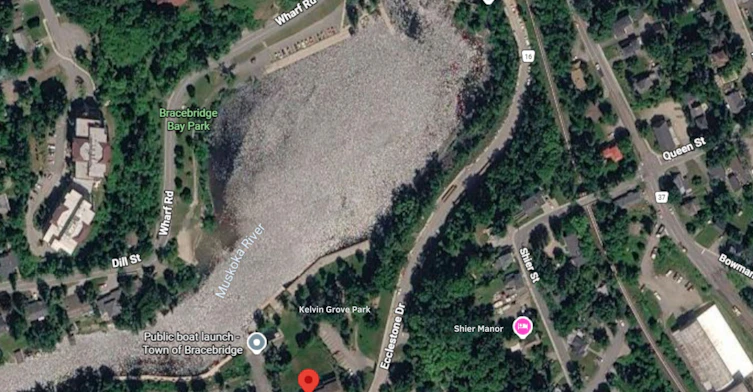 11-142 Ecclestone Drive, Bracebridge, ON, P1L 1G6 - 12