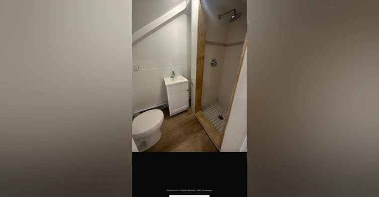 lower-66 Wellington Street S, Hamilton, ON, L8N 2R1 - 24