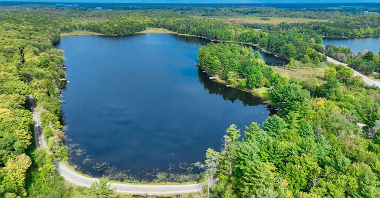 #8-1006 Youngs Road, Muskoka Lakes, ON, P0B 1J0 - 3