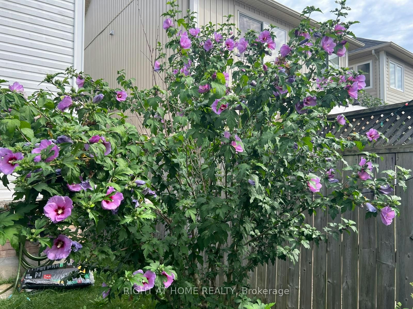 39 Golden Iris Crescent, Hamilton, ON, L8B 0R6 - 41