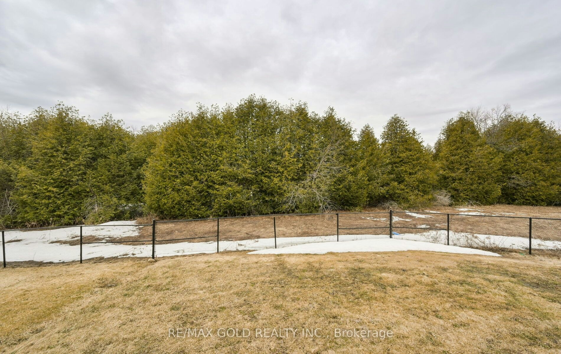 124 Limestone Lane, Shelburne, ON, L9V 3Y4 - 43