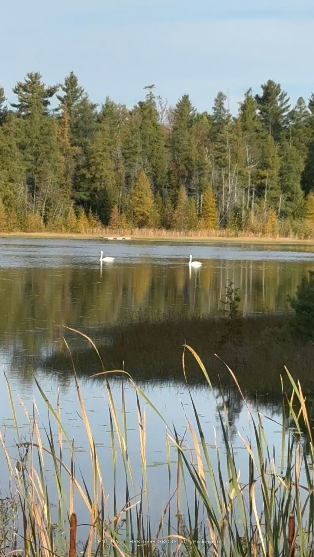 580223 Sideroad 60 N/A, Chatsworth, ON, N0H 1C0