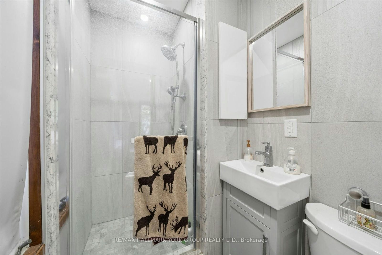 102 Albert Street, Kawartha Lakes, ON, K0M 1K0 - 33