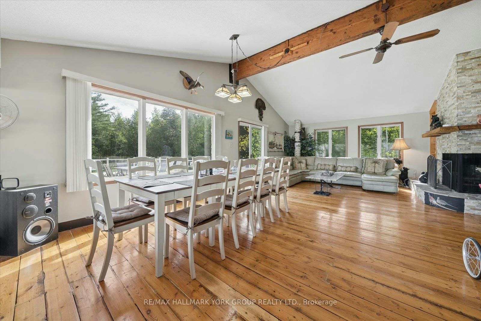 102 Albert Street, Kawartha Lakes, ON, K0M 1K0 - 16