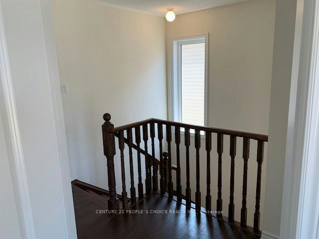 419 Black Cherry Crescent, Shelburne, ON, L9V 3Y6 - 12
