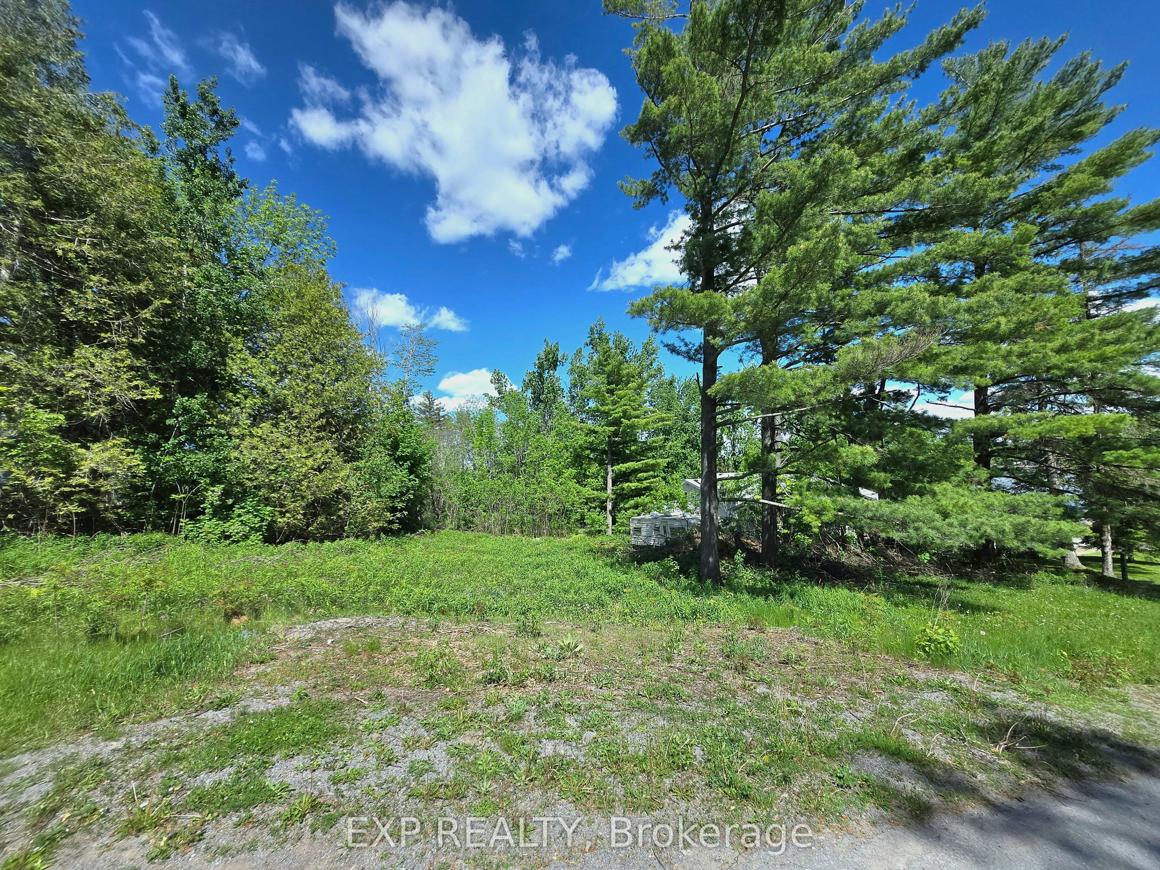 4 Killarney Road, Smith-Ennismore-Lakefield, ON, K0L 1T0