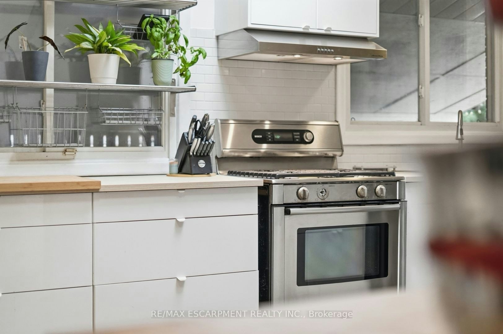 19 Ellingwood Avenue - 5