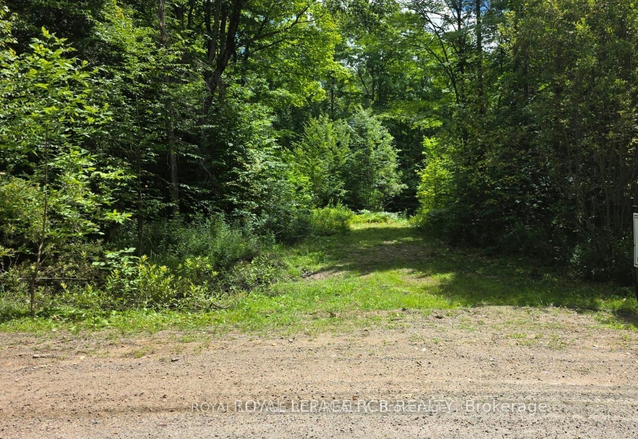 1414 Madill Road, Highlands East, ON, K0M 1R0