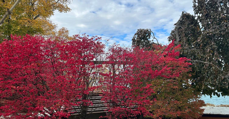 ROOM-5 Wendakee Drive, Hamilton, ON, L8E 5T1 - 8