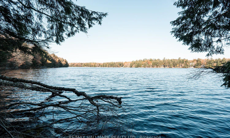Unit 11 Lot 5-1310 Camel Lake Road
