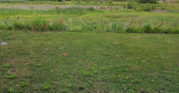 66 Bradbury Road, Hamilton, ON, L8J 2V7 - 20