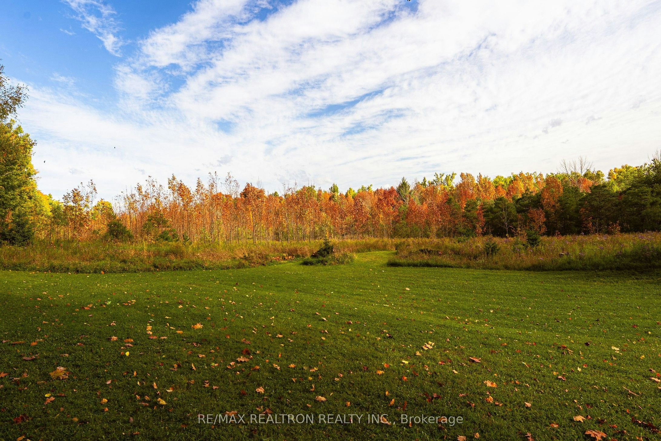 427371 25 Sideroad N/A E, Mono, ON, L9V 1E7 - 36