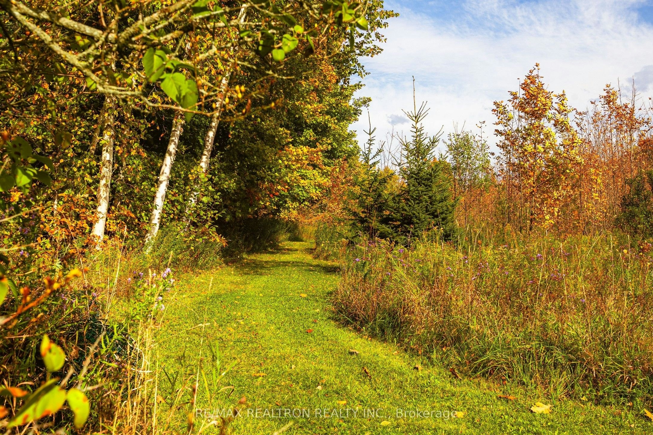 427371 25 Sideroad N/A E, Mono, ON, L9V 1E7 - 37