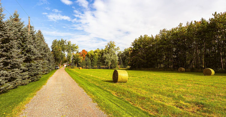 427371 25 Sideroad N/A E, Mono, ON, L9V 1E7 - 2