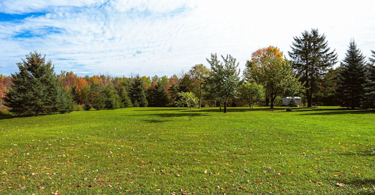 427371 25 Sideroad N/A E, Mono, ON, L9V 1E7 - 35