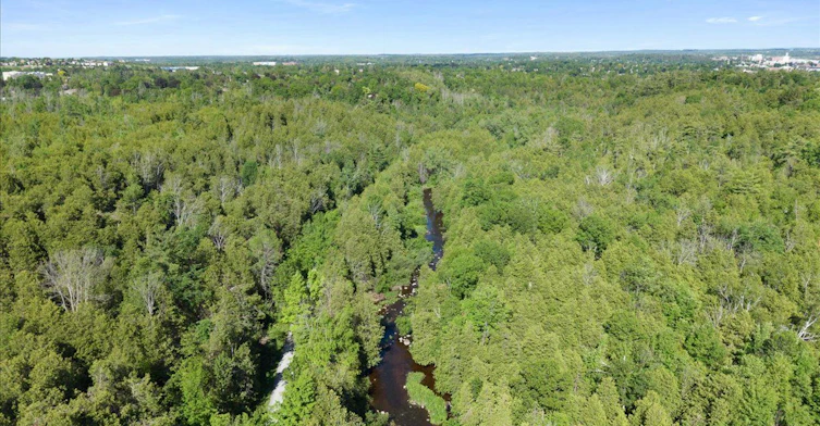 635 Lemay Grove, Smith-Ennismore-Lakefield, ON, K9K 0G9 - 49