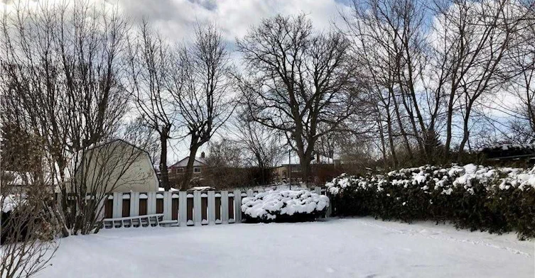 Lower-119 Alison Avenue, Cambridge, ON, N1R 1N5 - 18