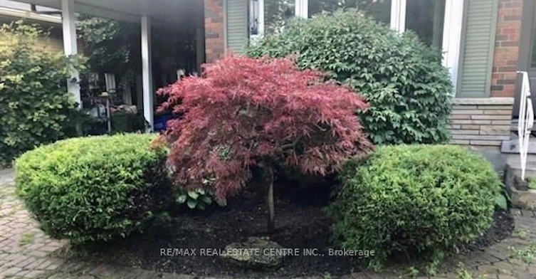 Lower-119 Alison Avenue, Cambridge, ON, N1R 1N5 - 25