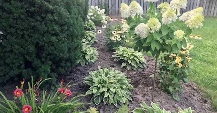 Lower-119 Alison Avenue, Cambridge, ON, N1R 1N5 - 23