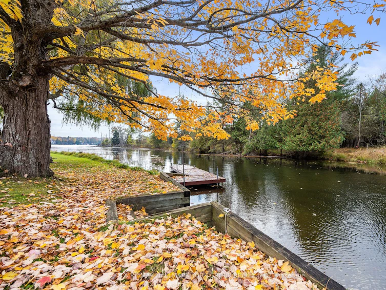 102 Albert Street, Kawartha Lakes, ON, K0M 1K0 - 37