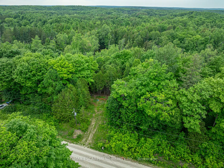 LOT 31 8th Concession B, Grey Highlands, ON, N0C 1M0 - 10