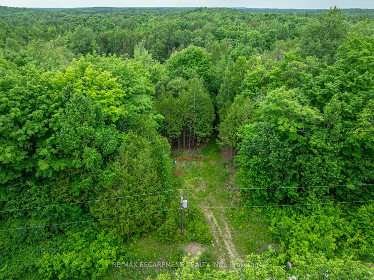 LOT 31 8th Concession B, Grey Highlands, ON, N0C 1M0 - 13