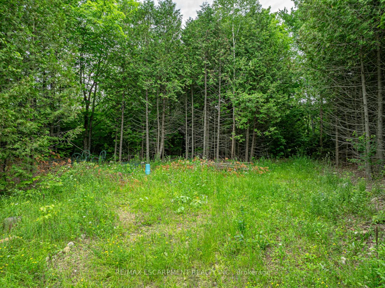 LOT 31 8th Concession B, Grey Highlands, ON, N0C 1M0 - 2