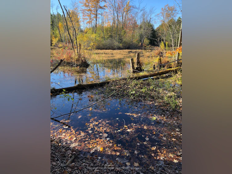 LOT 31 8th Concession B, Grey Highlands, ON, N0C 1M0 - 7