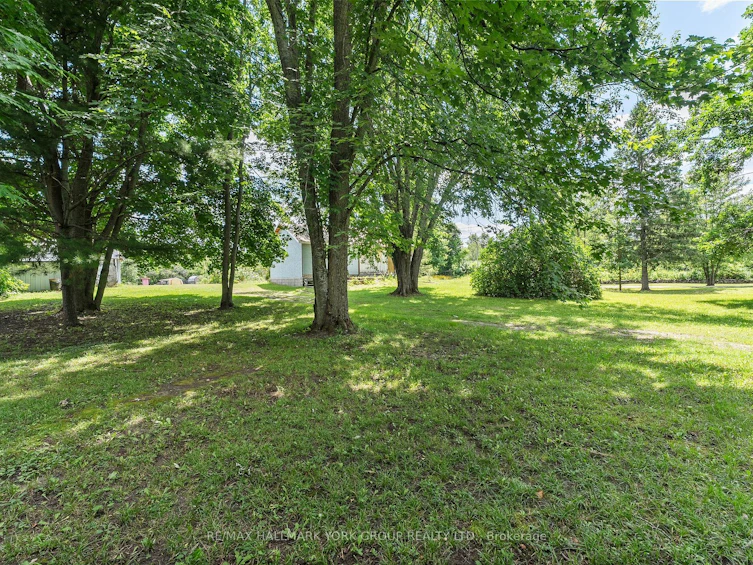592 Balsam Lake Drive, Kawartha Lakes, ON, K0M 2B0 - 36