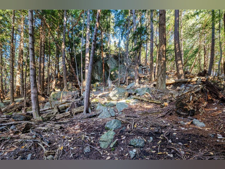 498 Marine Turnabout, Mayne Island, BC, V0N 2J2 - 21