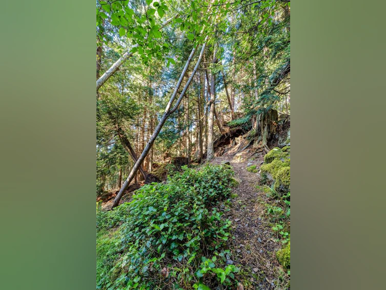 498 Marine Turnabout, Mayne Island, BC, V0N 2J2 - 20