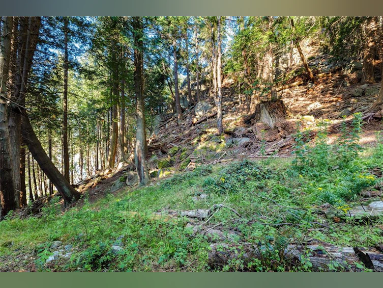 498 Marine Turnabout, Mayne Island, BC, V0N 2J2 - 22