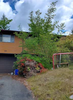 585 Dogwood Drive