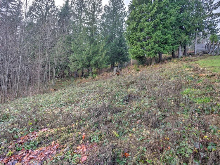 283 Castley Heights, Lake Cowichan, BC, V0R 2G0 - 6