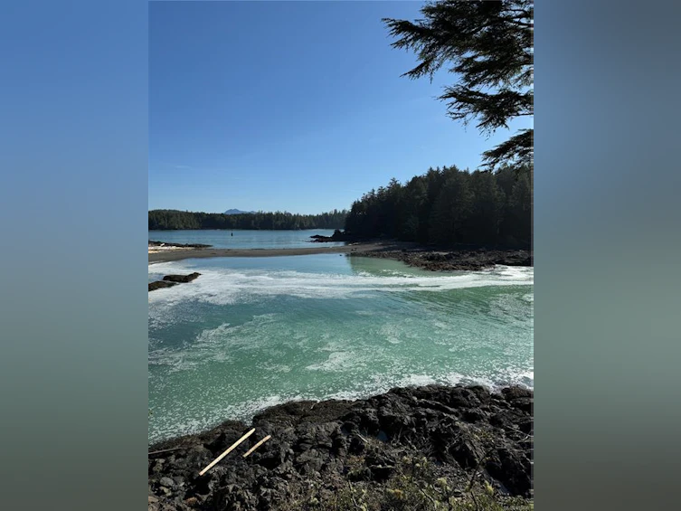 0 Francis Island, Ucluelet, BC, V0R 3A0 - 25