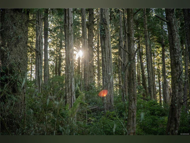 0 Francis Island, Ucluelet, BC, V0R 3A0 - 29
