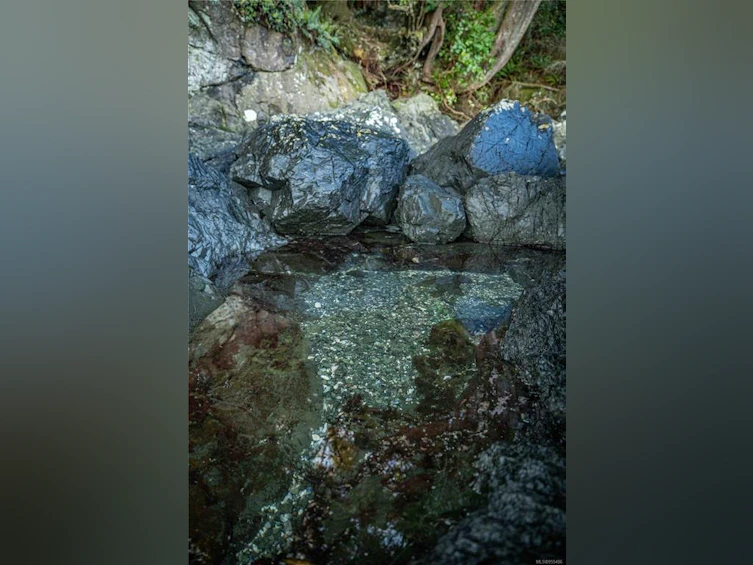 0 Francis Island, Ucluelet, BC, V0R 3A0 - 31