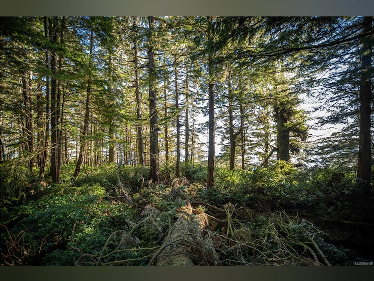 0 Francis Island, Ucluelet, BC, V0R 3A0 - 37