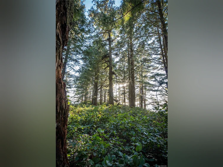 0 Francis Island, Ucluelet, BC, V0R 3A0 - 40