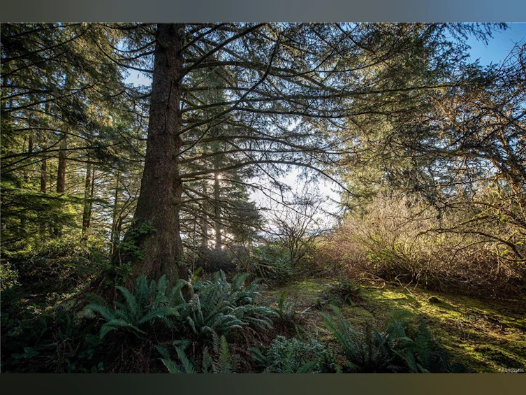0 Francis Island, Ucluelet, BC, V0R 3A0 - 41