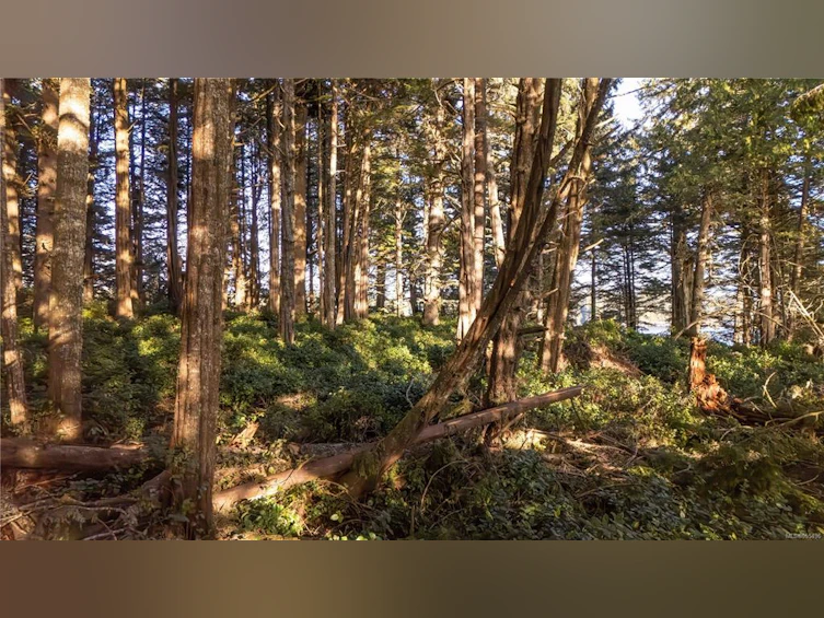 0 Francis Island, Ucluelet, BC, V0R 3A0 - 8