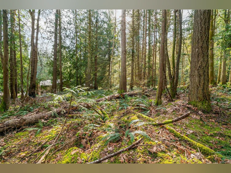 LT29 Prospect Drive, Ladysmith, BC, V0R 2E0 - 6