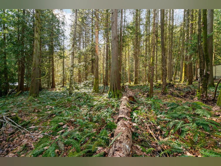 LT29 Prospect Drive, Ladysmith, BC, V0R 2E0 - 8