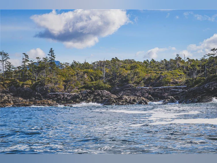 Lot A Vargas Island, Tofino, BC, V0R 2Z0 - 9